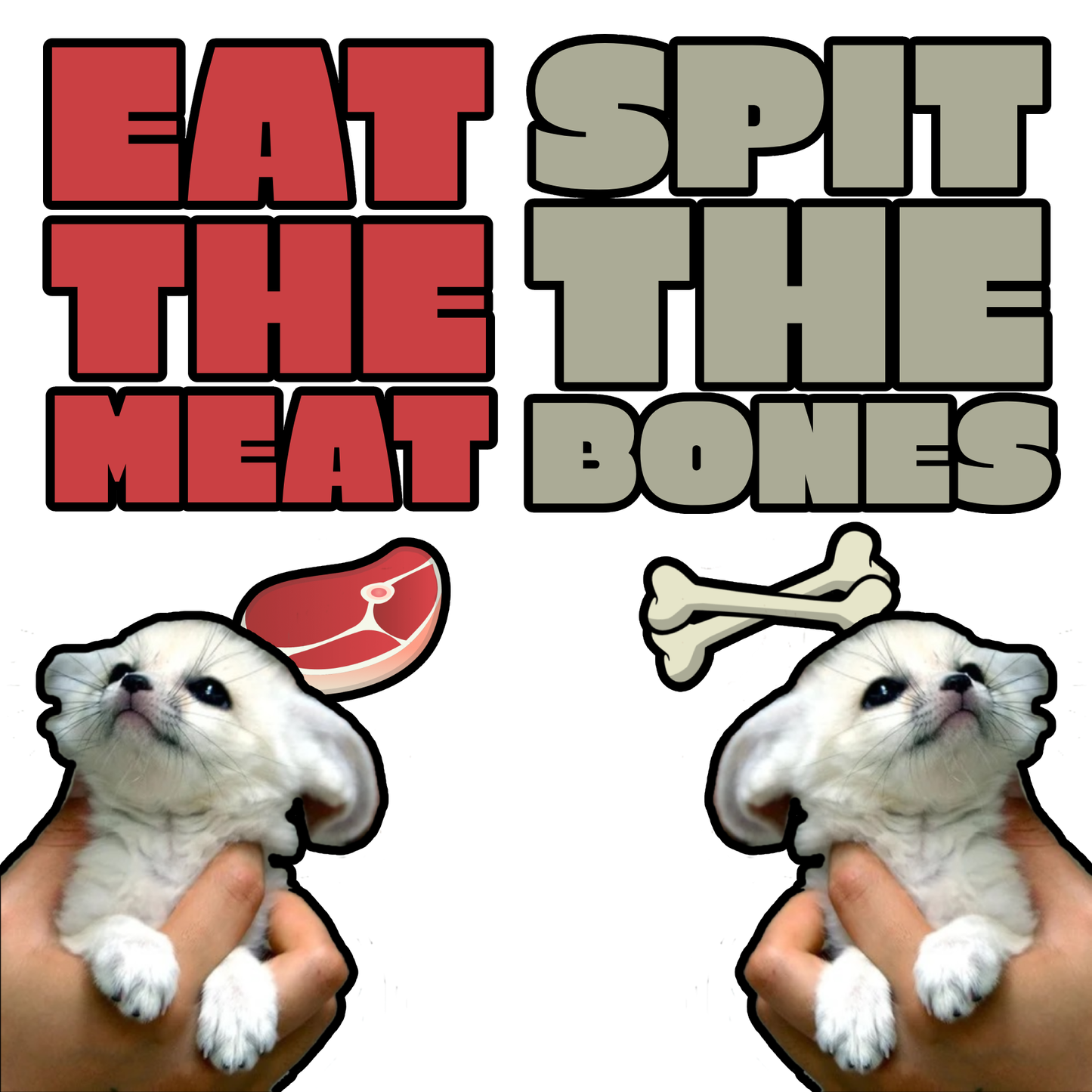 Eat the Meat, Spit the Bones Magnet