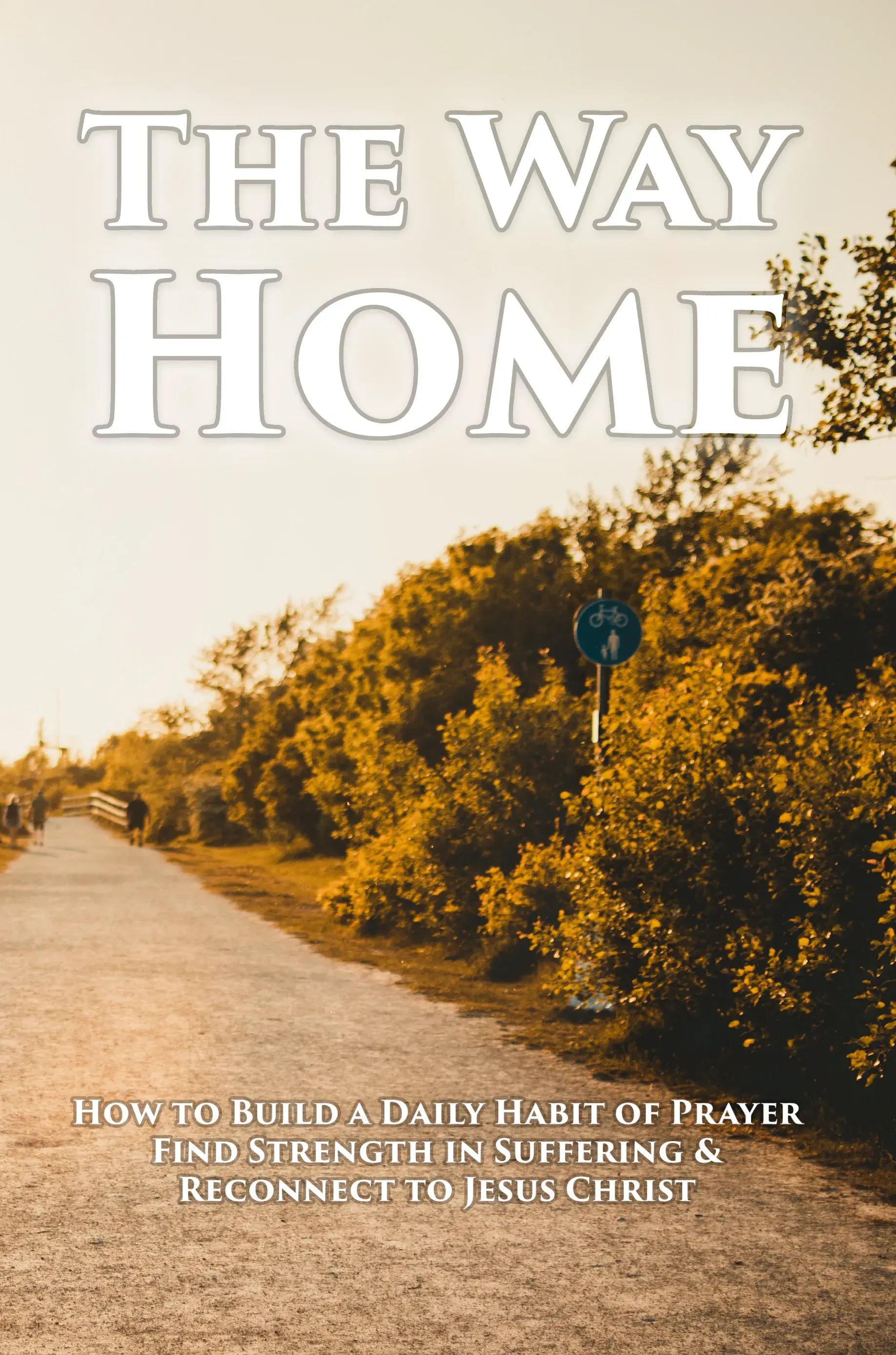 The Way Home: How to Build a Daily Habit of Prayer, Find Strength in Suffering & Reconnect to Jesus Christ