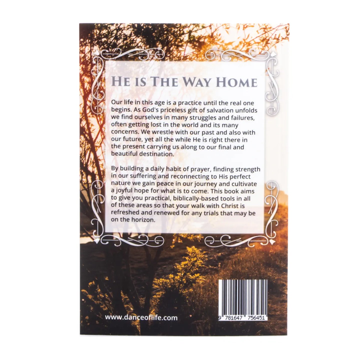 The Way Home: How to Build a Daily Habit of Prayer, Find Strength in Suffering & Reconnect to Jesus Christ