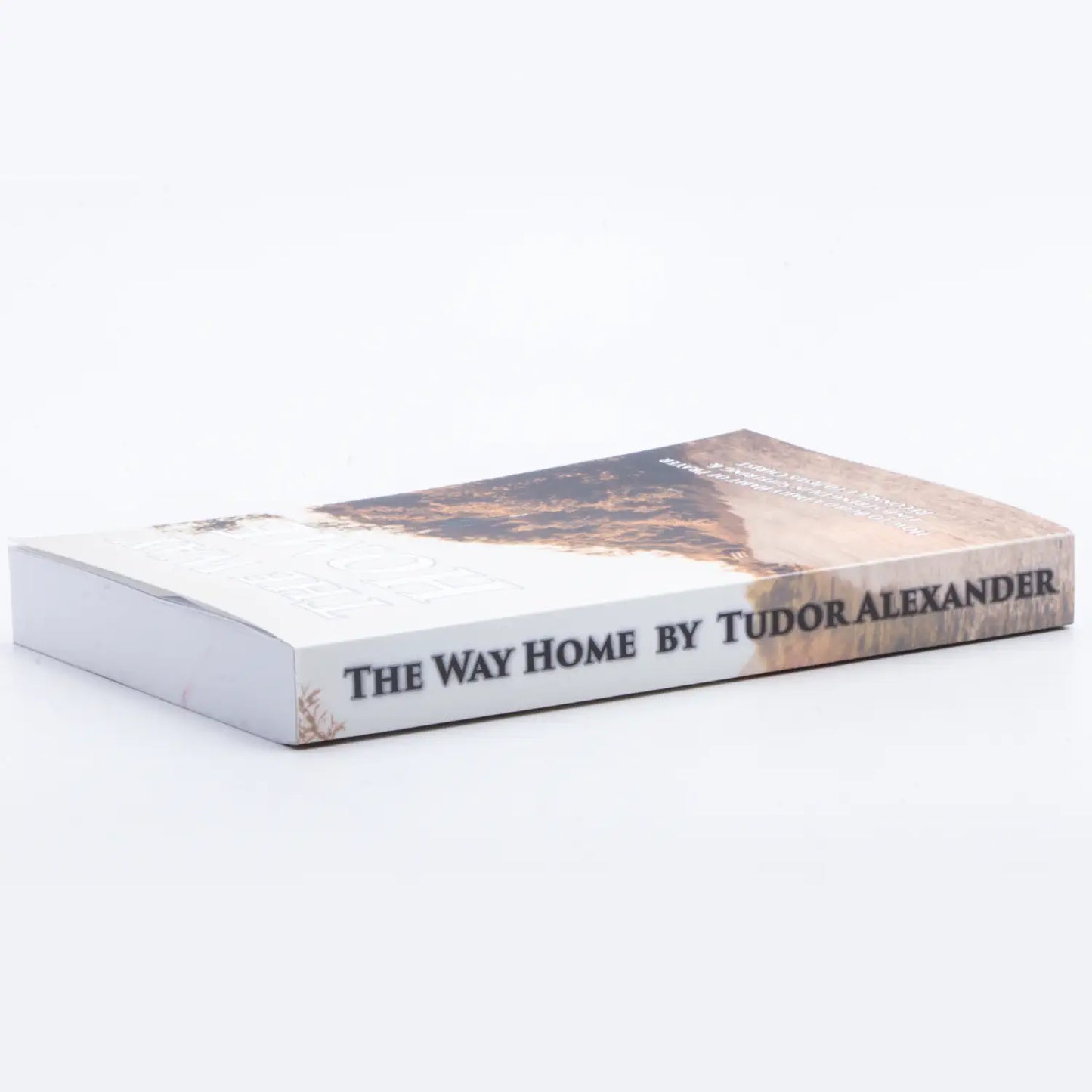 The Way Home: How to Build a Daily Habit of Prayer, Find Strength in Suffering & Reconnect to Jesus Christ