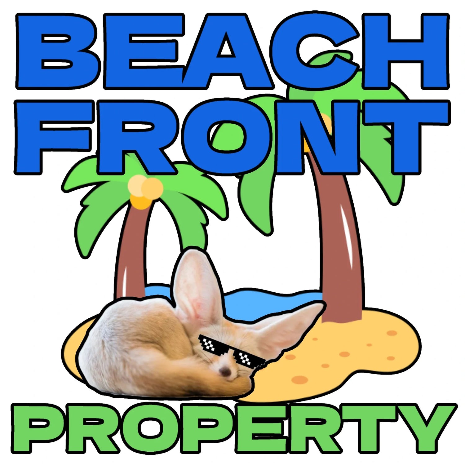 Beachfront Property