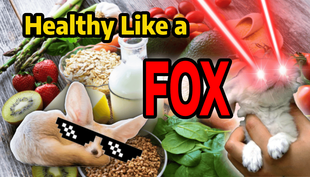 Healthy Like a Fox Promo Business Card (Pack of 10) (US & CANADA ONLY)