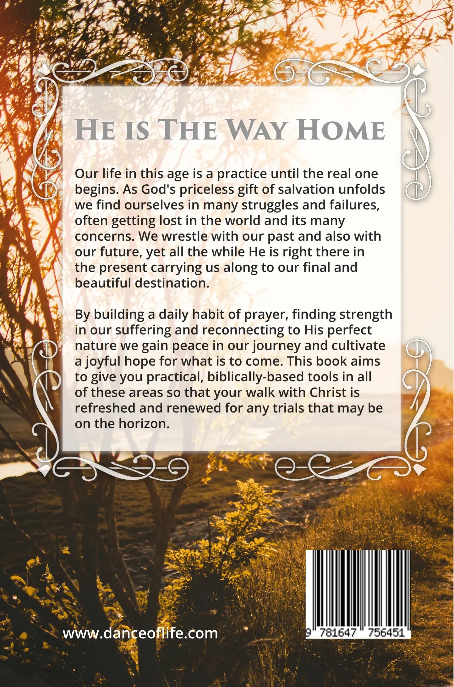 The Way Home: How to Build a Daily Habit of Prayer, Find Strength in Suffering & Reconnect to Jesus Christ