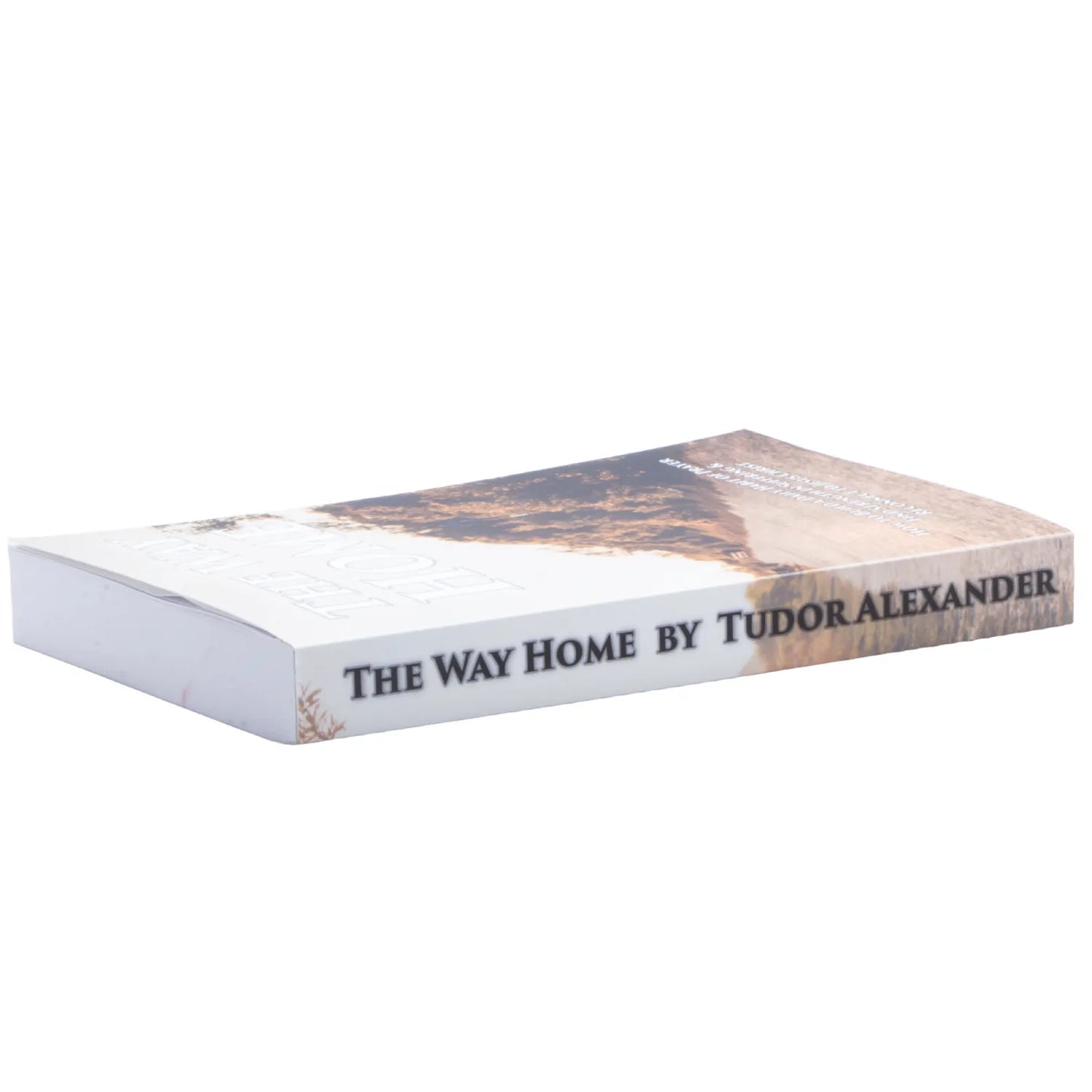 The Way Home: How to Build a Daily Habit of Prayer, Find Strength in Suffering & Reconnect to Jesus Christ