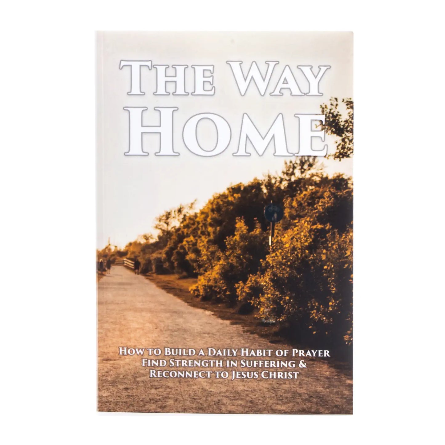 The Way Home: How to Build a Daily Habit of Prayer, Find Strength in Suffering & Reconnect to Jesus Christ