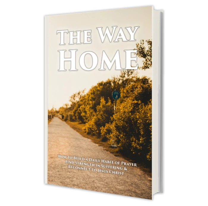 The Way Home: How to Build a Daily Habit of Prayer, Find Strength in Suffering & Reconnect to Jesus Christ